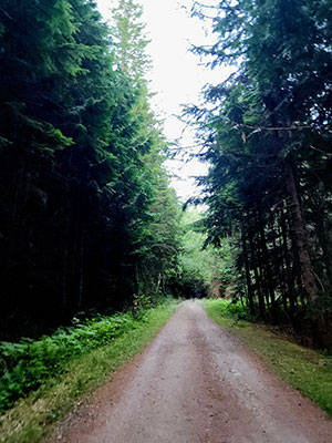 Running Across America Dr. Zina B. Cappiello DPM