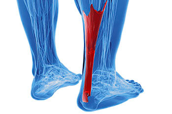 achilles tendon treatment in the Passaic County, NJ: Clifton (Paterson, Passaic, Wayne, Hawthorne, Clifton), Essex County, NJ: Newark, East Orange, Bloomfield, West Orange, Belleville, Nutley, Montclair, Bergen County, NJ: Rutherford, Garfield and Morris County, NJ: Lincoln Park, Lincoln Park areas